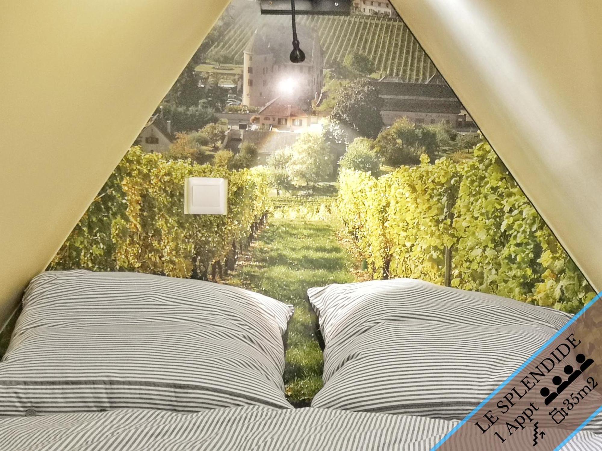 Splendide Appartement Barr - Route Du Vins Rom bilde